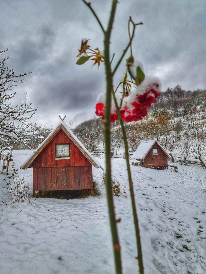 Log Cabin Uvac Нова-Варош Экстерьер фото