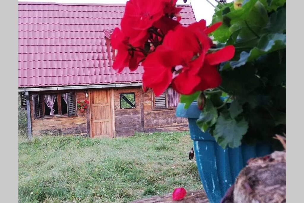 Log Cabin Uvac Нова-Варош Экстерьер фото